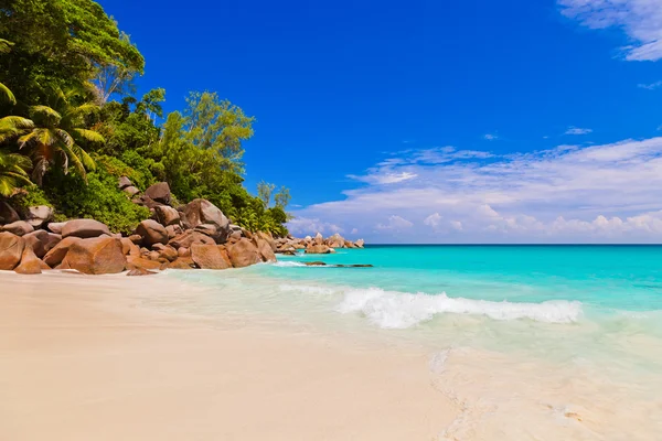 Plajă tropicală pe insulă Praslin Seychelles — Fotografie, imagine de stoc