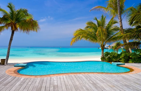 Piscine sur une plage tropicale — Photo