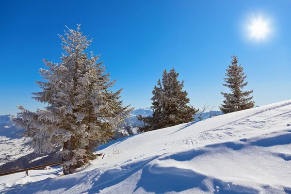 Bergen ski resort st. gilgen Österrike — Stockfoto