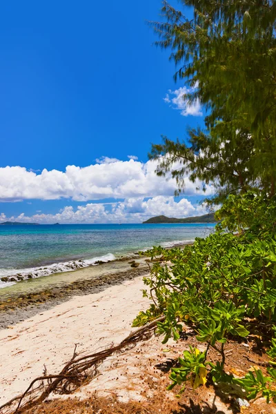 Tropical beach at Seychelles — Stock Photo, Image