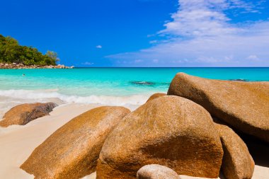 tropik ada praslin Seyşeller kumsalda