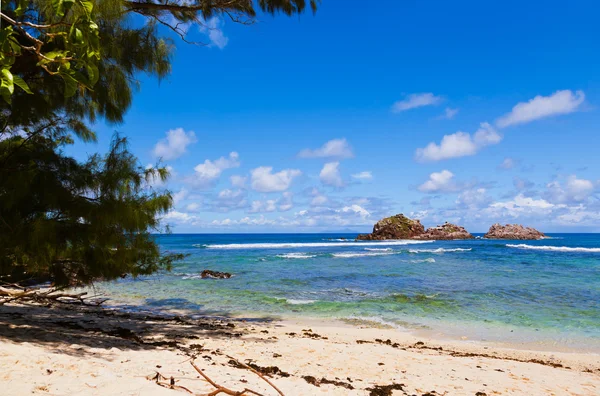 Tropisch strand op de Seychellen — Stockfoto