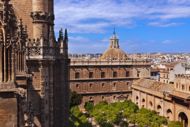 İspanya sevilla Cathedral la giralda