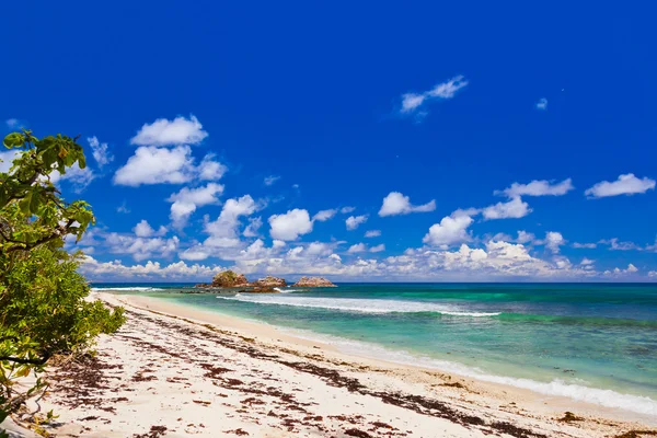 Tropischer Strand auf den Seychellen — Stockfoto