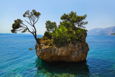 ada ve ağaçlarda brela, Hırvatistan