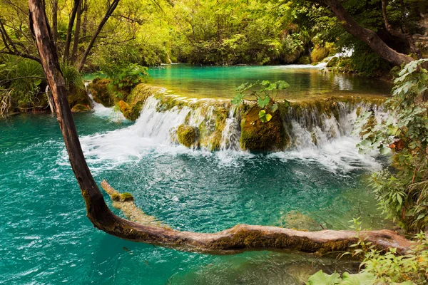 Plitvice lakes in Croatia — Stock Photo, Image
