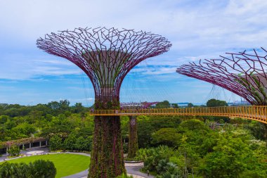 Singapur Körfezi kıyısındaki Park Gardens - doğa ve seyahat geçmişi