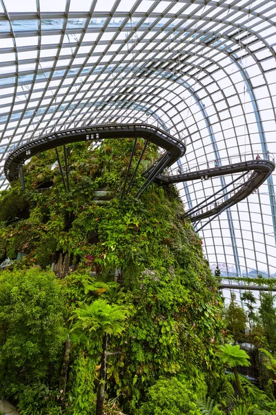 Chmura Las Kopuła Ogrodach Nad Zatoką Singapurze Tło Natury — Zdjęcie stockowe