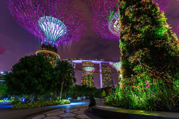 Singapur Körfezi Kıyısındaki Park Gardens Doğa Seyahat Geçmişi — Stok fotoğraf