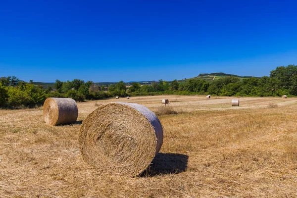 Hay Bales Field Tuscany Italy Nature Background — Stock Photo, Image