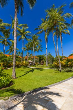 Bali Endonezya 'daki Nusa Dua tatil beldesi - doğal tatil geçmişi