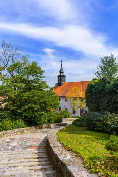 Città Vecchia Novi Sad Serbia Architettura Viaggi Sfondo — Foto Stock