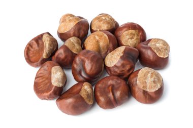 Beyaz arka plan üzerinde izole olgun kestane