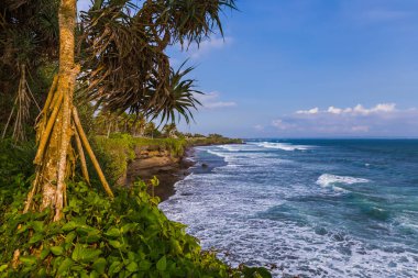 Endonezya 'daki Tanah Lot Tapınağı yakınlarındaki sahil - seyahat geçmişi