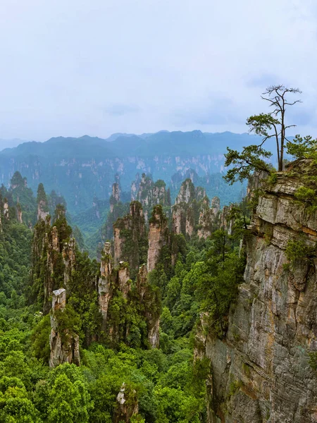 Tianzi Avatar Bergen Natuurpark Wulingyuan China Reisachtergrond — Stockfoto