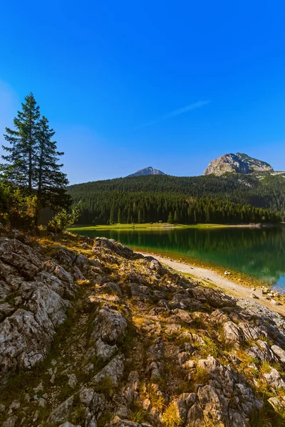 Zwarte Meer Crno Jezero Durmitor Montenegro Natuur Reizen Achtergrond — Stockfoto