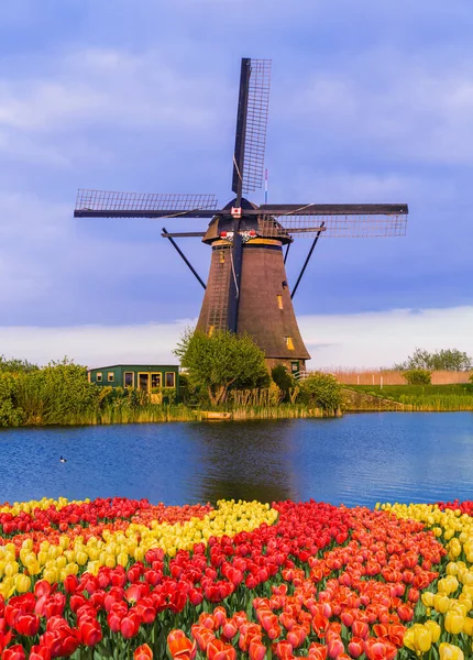 Windmühlen Und Blumen Den Niederlanden Architektonischer Hintergrund — Stockfoto