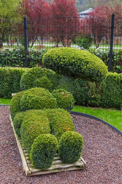 Скульптура Буша Парке Durbuy Бельгия Природный Фон Стоковое Изображение