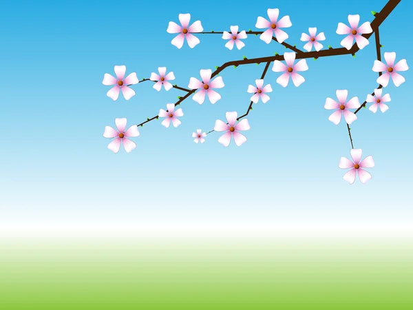 Spring background with blossoming tree branch — Stock Vector