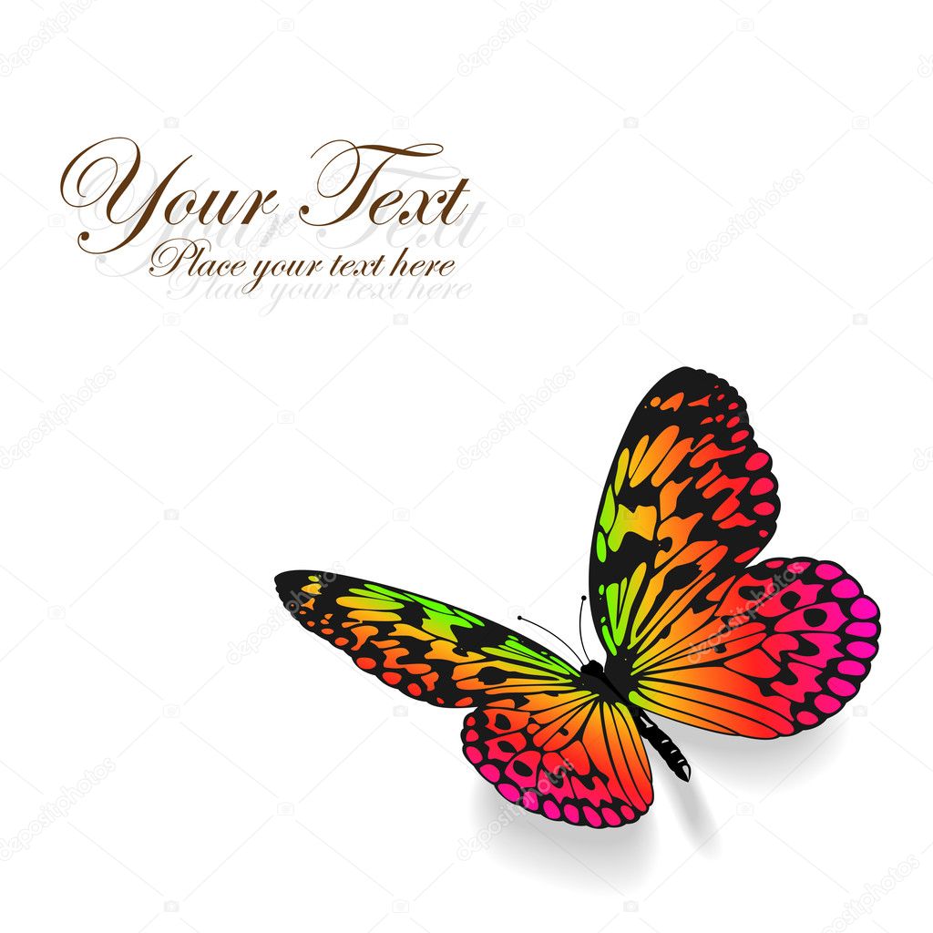 Colorful butterfly on white background.