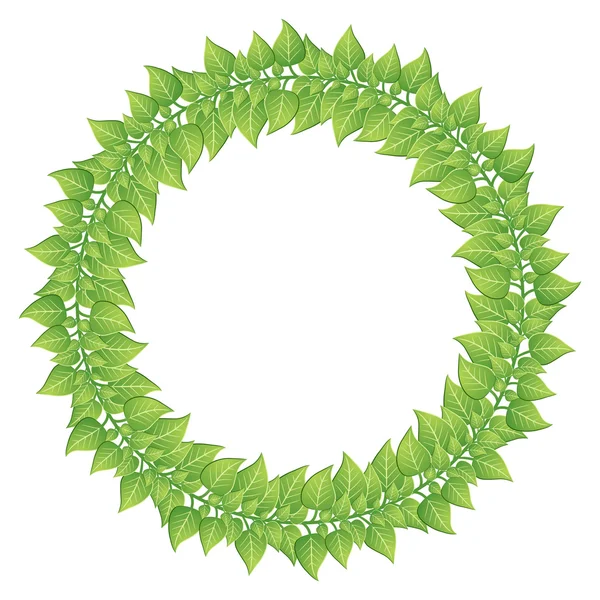 Green leaves round frame isolated on white. — Stock Vector