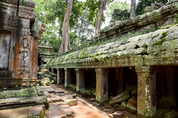 Fornlämningar i ta prohm eller rajavihara templet i angkor, siem — Stockfoto