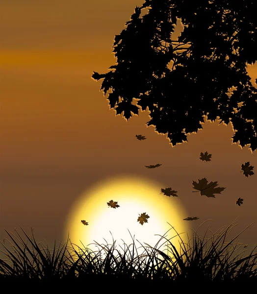 Herfst zonsondergang vector achtergrond met dalende esdoorn bladeren. — Stockvector