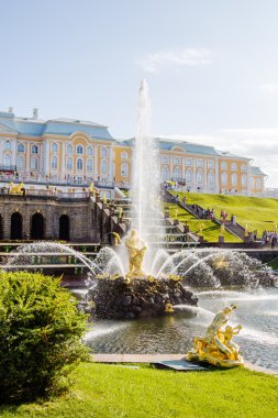 Samson çeşme alt peterhof Parkı