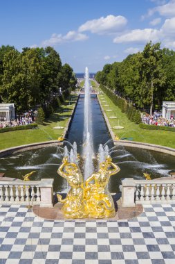 Peterhof palace park ana kanal çeşmeler, saint-petersbu
