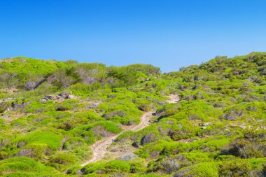 cami de cavalls Menorca ada etrafında gidiş yolu yürüyüş.