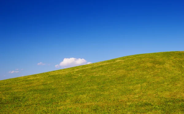 Cerro de hierba verde con fondo de la naturaleza cielo azul claro . Imágenes de stock libres de derechos