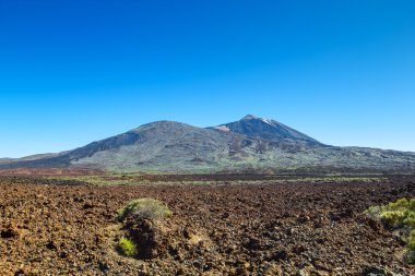 Teide vulkaan naitional park in zonnige dag, tenerife eiland, spai