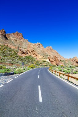 Teide Milli park yolu güneşli gün, ada tenerife, İspanya.