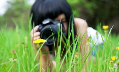 Kız bir karahindiba fotoğraf arşivi.