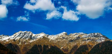 Sarı sonbahar yeşili orman ve beyaz kar zirveleri