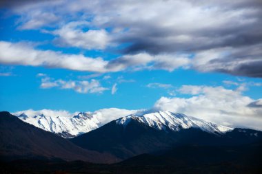 Sisli Sonbahar Kozalaklı Orman Manzarası hava manzaralı arka plan Seyahat huzurlu manzaralı