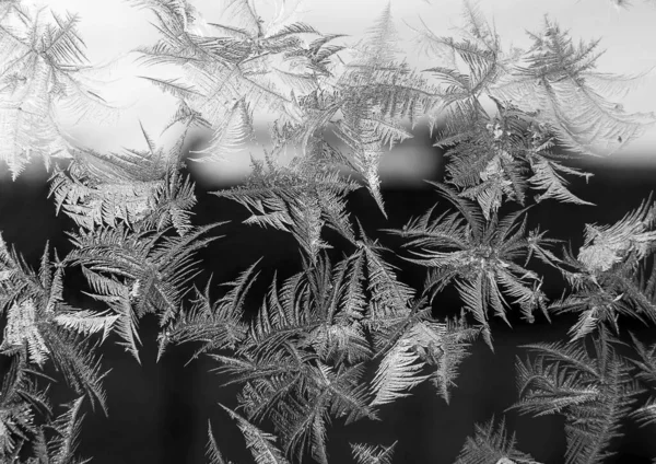 Schöne Natürliche Frostige Muster Auf Winterfenster Eismuster Winter — Stockfoto