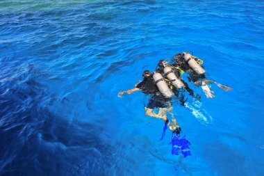 dalgıç, kurbağa adam