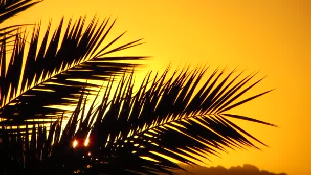 Рассвет, Закат — стоковое видео