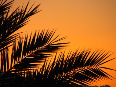 tropik gün batımı