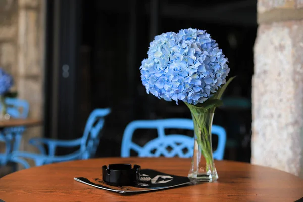 Fiore Ortensia Nel Vaso Sul Tavolo — Foto Stock