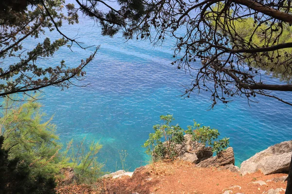 Море Скеля Парк Мілочер Светі Стефан Чорногорія — стокове фото