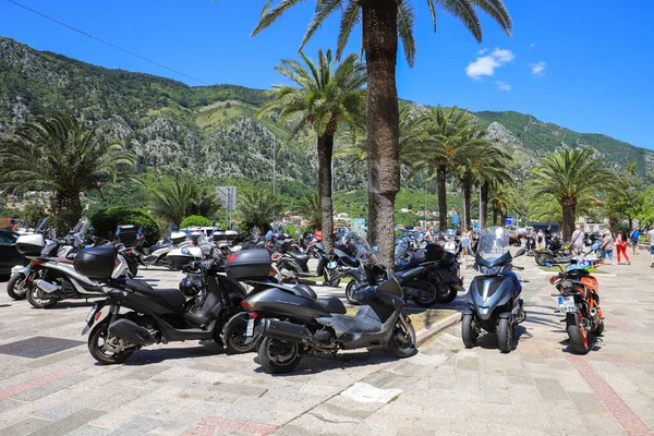 Kotor Montenegro Juli 2021 Veel Motorfietsen Staan Geparkeerd Het Plein — Stockfoto