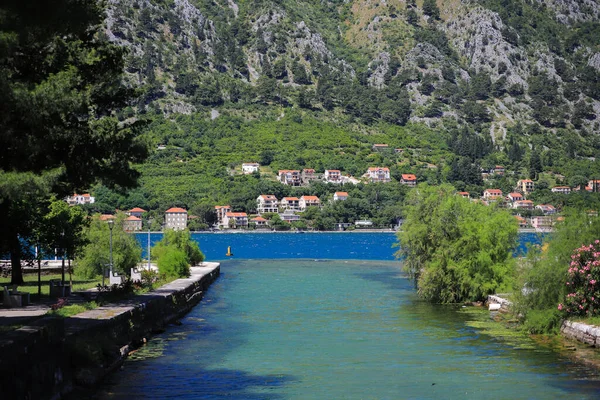 Domy Pobřeží Městě Kotor — Stock fotografie