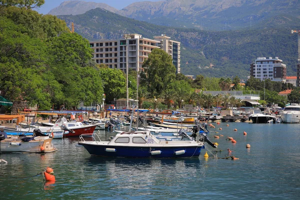Μπούντβα Μαυροβούνιο Ιουλίου 2021 Μηχανοκίνητα Σκάφη Αγκυροβολημένα Στη Μαρίνα Ντούκλεϊ — Φωτογραφία Αρχείου