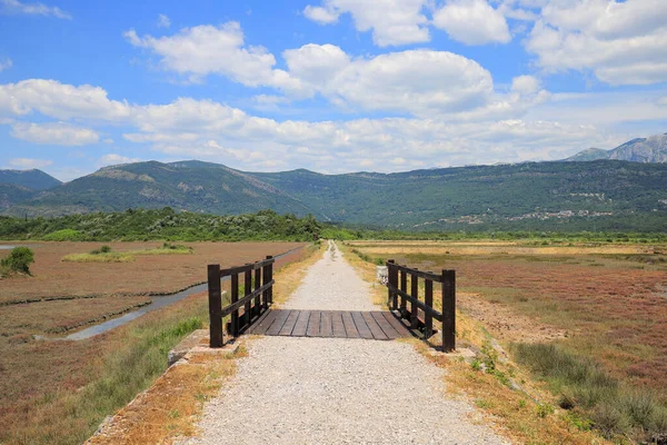 Puente Madera Sobre Río — Foto de Stock