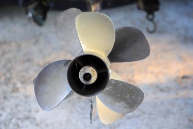 Motorun motorunu vidalayın.