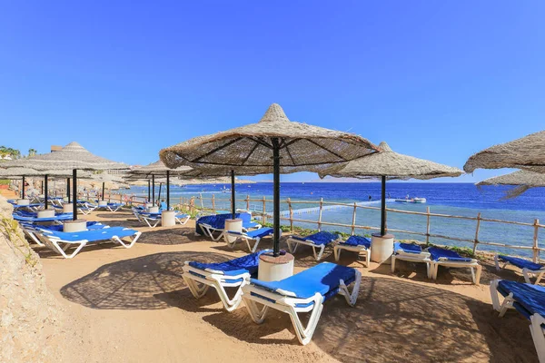 Beach Sun Loungers Parasols Resort Sharm Sheikh Egypt — Stock Photo, Image