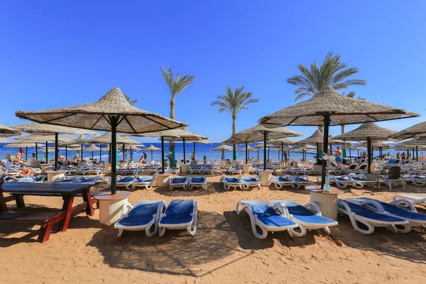 Sharm Sheikh Egipto Febrero 2017 Playa Con Tumbonas Sombrillas Sharm —  Fotos de Stock