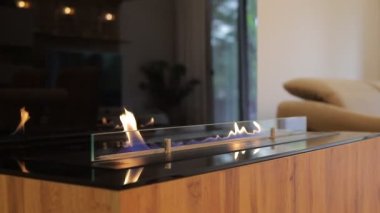 Bio fireplace burning on ethanol